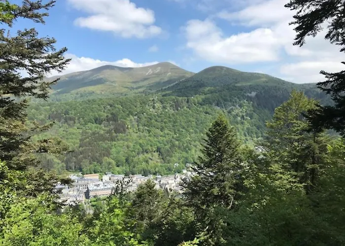 T2 Hyper Centre Mont-dore Avec Wifi - Fr-1-608-63